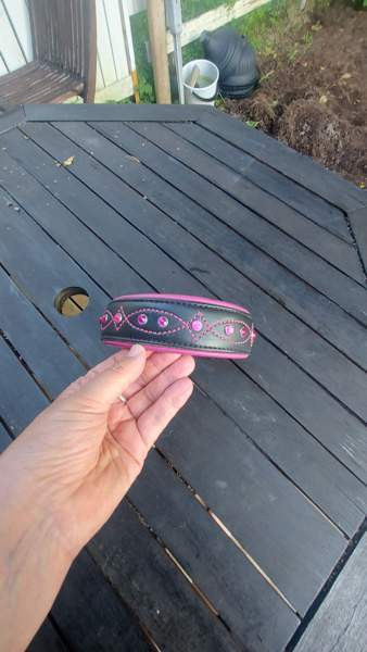 Koiran panta Каяни - изображение 1