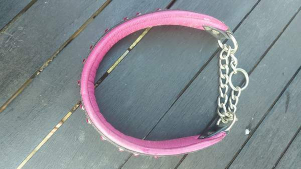 Koiran panta Каяни - изображение 2