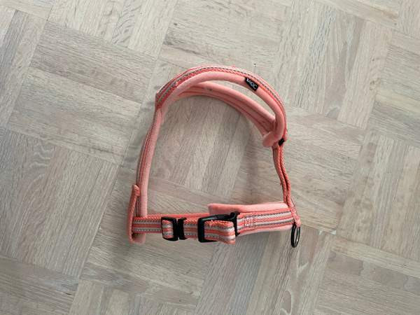 Y-valjaat koiralle (M) Jyvaeskylae - photo 2