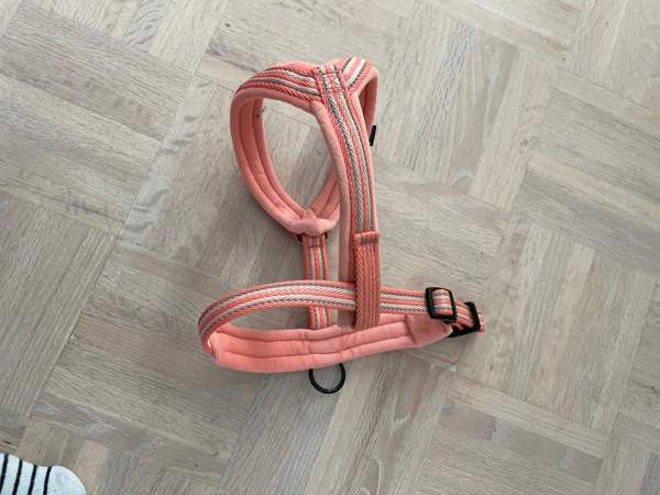 Y-valjaat koiralle (M) Jyvaeskylae - photo 3