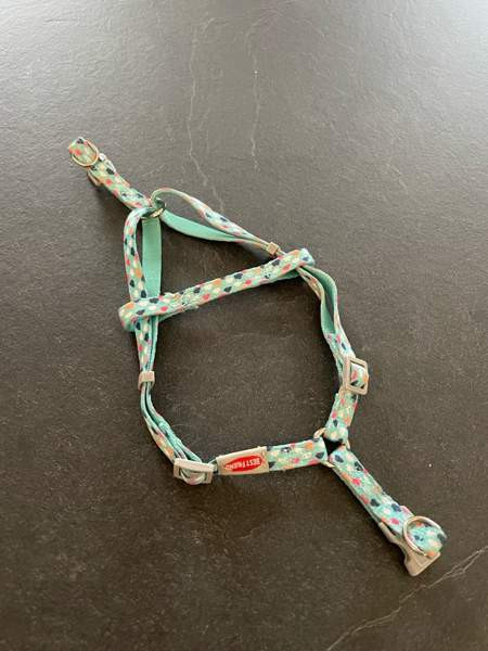 Kissan valjaat koko S Ii – foto 1