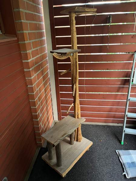 Kissan kiipeilypuu Kouvola - photo 2