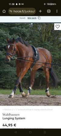 Waldhausen Lunging System Laitila - изображение 1
