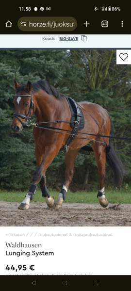 Waldhausen Lunging System Laitila - изображение 1