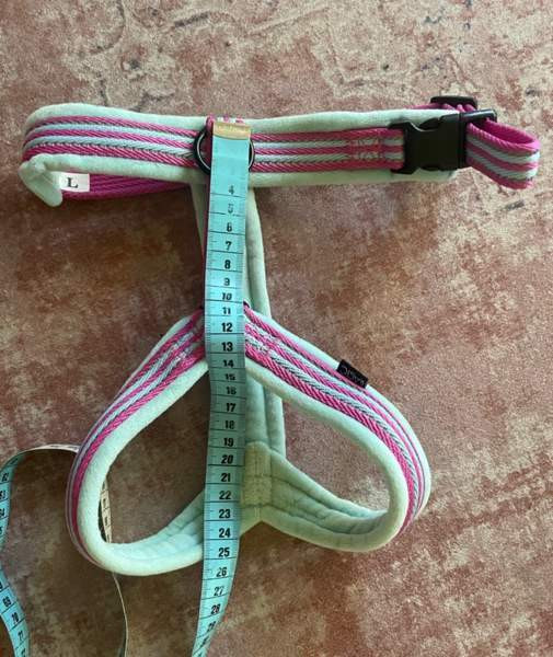 Koiran Y-valjaat Helsinki - photo 4