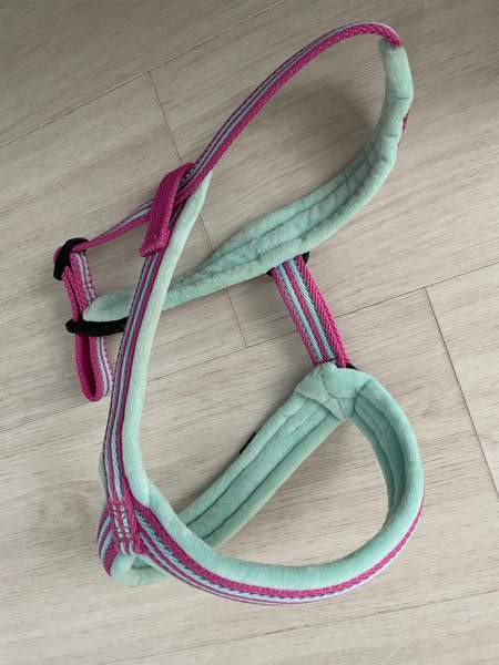 Koiran Y-valjaat Helsinki - photo 2