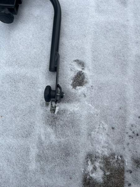 Koirakalteri (Ford) Pälkäne - valokuva 6