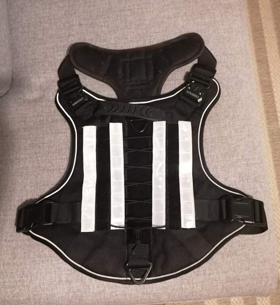 Cerberos valjaat XXL Kempele - valokuva 1