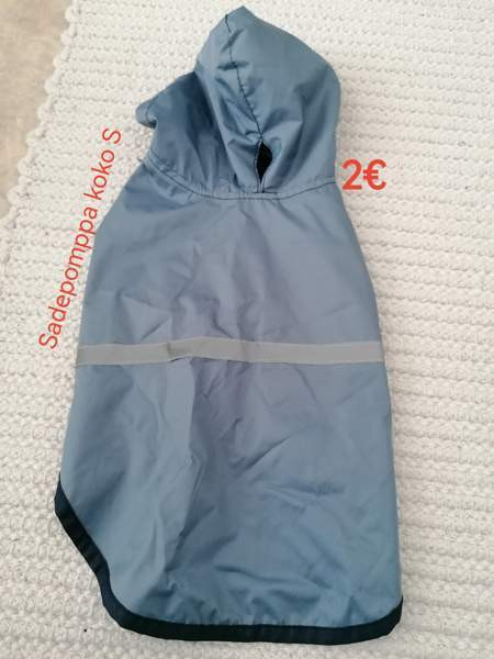 Pienelle koiralle Joensuu – foto 2