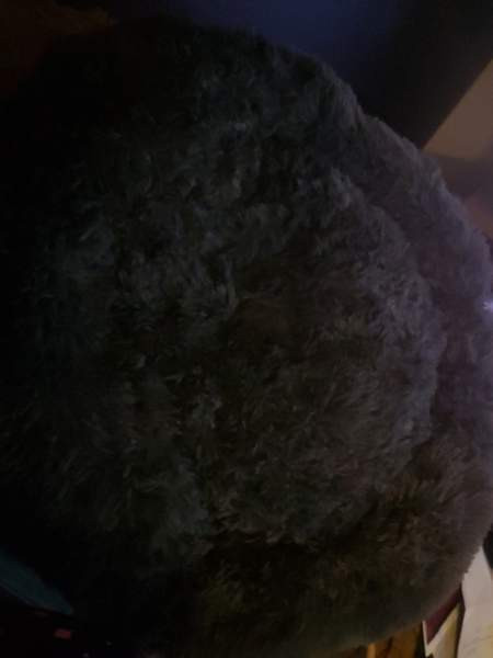 Koiran peti xxl UUSI, pörröpeti Pori – foto 1