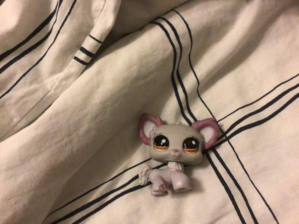 Aito LPS koira vuosimallia 2007 Vantaa - valokuva 2