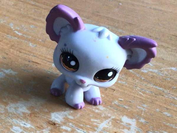 Aito LPS koira vuosimallia 2007 Vantaa - valokuva 1