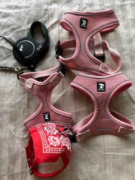 Uudet valjaat  ja kaulapanta Helsinki – foto 1