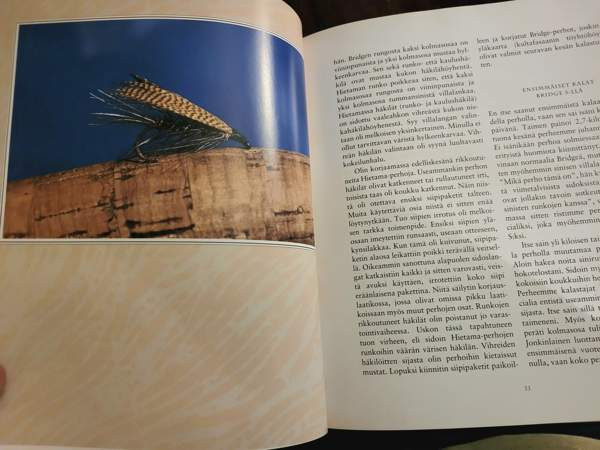 Elämäni perhot Ilomantsi - photo 4