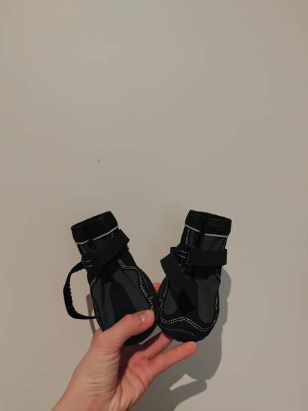 Koiran kengät Эспоо - изображение 2