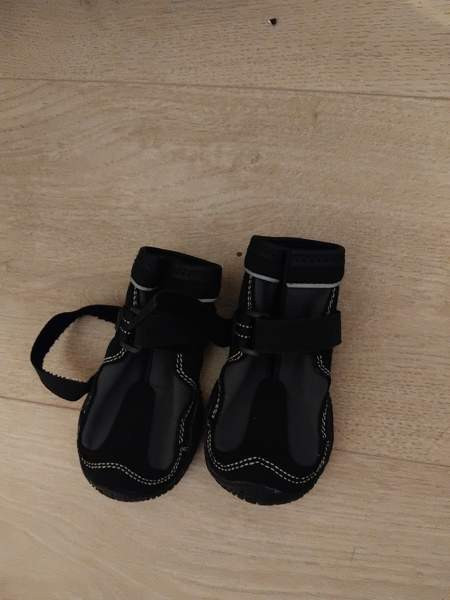 Koiran kengät Эспоо - изображение 1