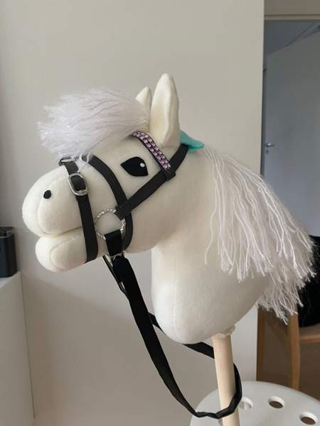 Keppihevonen Kaarina – foto 3