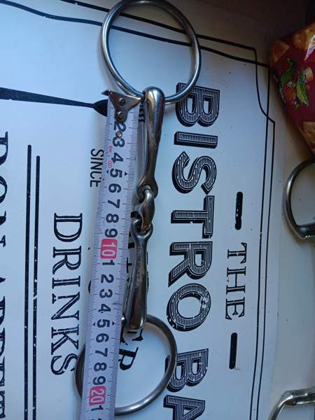 Kuolaimia Sastamala – foto 2