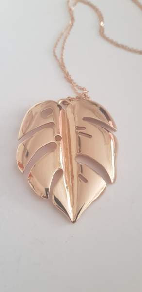 Peikonlehti koru Vantaa - valokuva 3