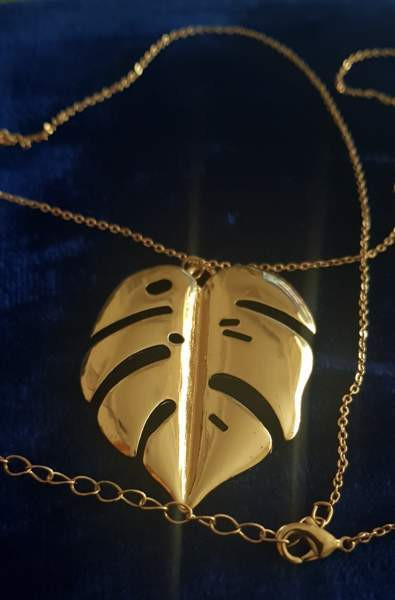 Peikonlehti koru Vantaa - valokuva 2