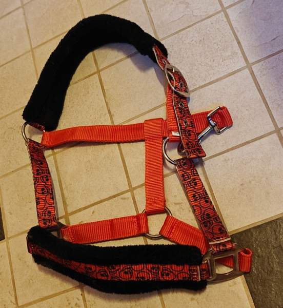 UUSI Halloween riimu, Pony kokoinen Lohja – foto 2