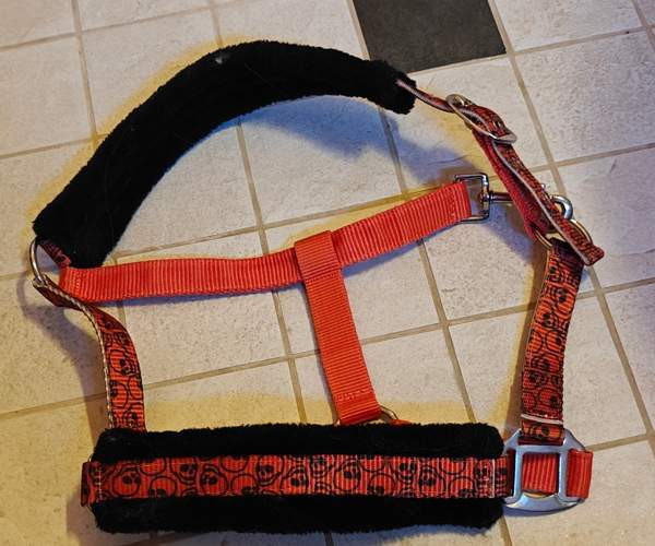 UUSI Halloween riimu, Pony kokoinen Lohja – foto 1