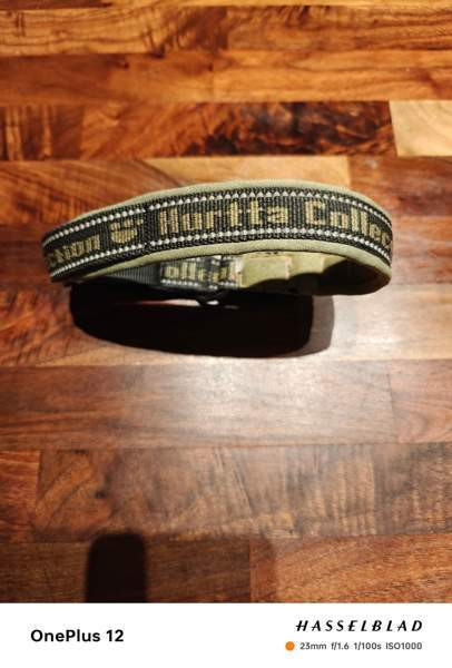 Hurtta kaulapanta, koko 30-40 Nurmijärvi - valokuva 1