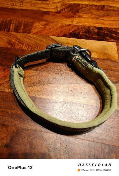 Hurtta kaulapanta, koko 30-40 Nurmijärvi - valokuva 2