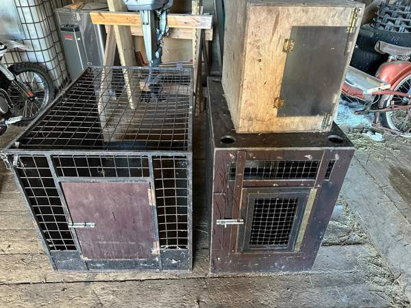 Koiran kuljetuskopit Tuusniemi - valokuva 1