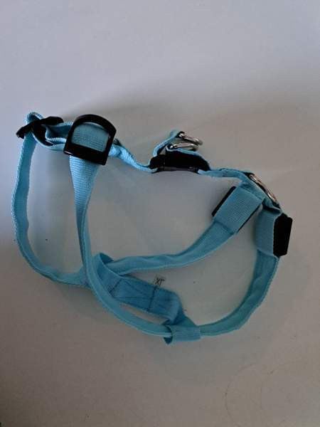 Koiran valjaat led valoilla Tampere - photo 2