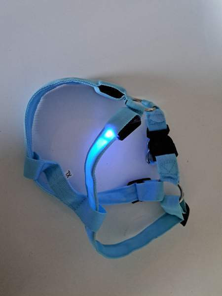 Koiran valjaat led valoilla Tampere - photo 3