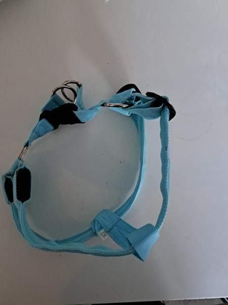 Koiran valjaat led valoilla Tampere - photo 1