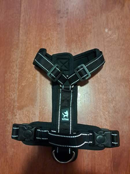 Fleksi ja valjaat Kuopio – foto 1