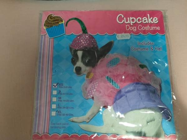 koiran asu Vantaa - photo 4