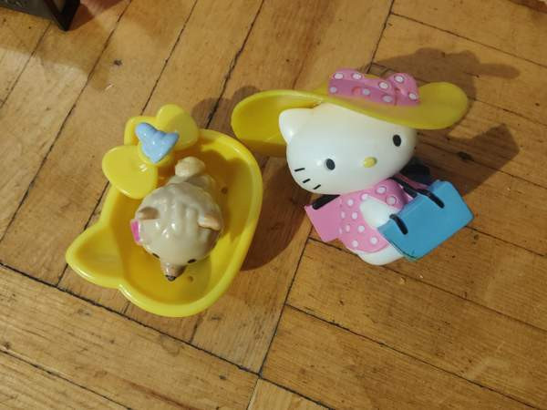 Hello kitty ja koira pesulla Лаппенранта - изображение 1