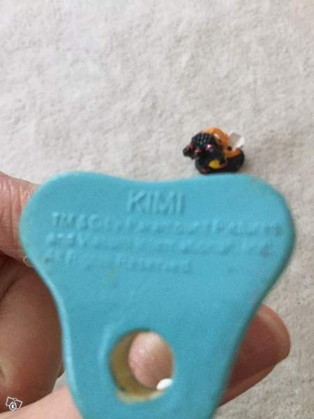 Ipanat hahmot Kimi ja Susie Keuruu - valokuva 3