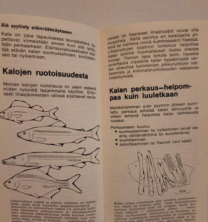 Suomen Kalastusyhdistyksen kalankäsittelyopas Helsinki – foto 4