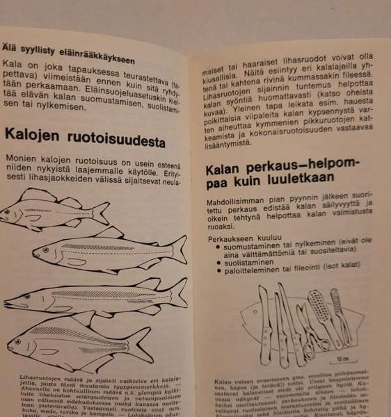 Suomen Kalastusyhdistyksen kalankäsittelyopas Helsinki – foto 4