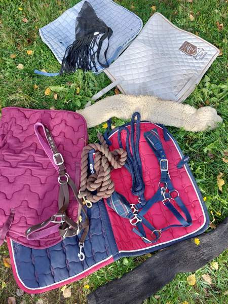 Ötökkähapsu, riimunnaru Orivesi - valokuva 1