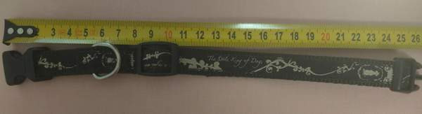 panta ja talutin Vantaa – foto 4