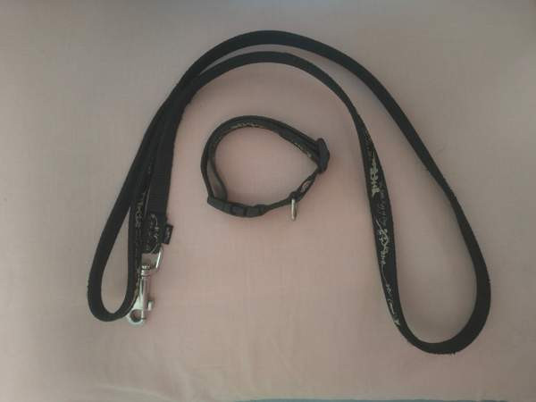 panta ja talutin Vantaa – foto 1