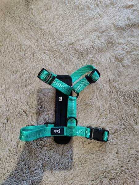 Basic First Y-valjas Turku - valokuva 1