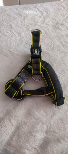 Hau hau pehmustetut valjaat/koko S Kuopio - photo 1