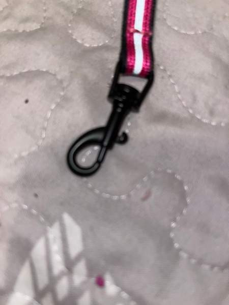 Kissan talutushihna Сейняйоки - изображение 2