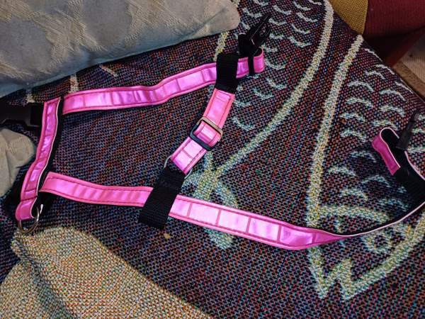 Kissan valjaat Tuusula – foto 2