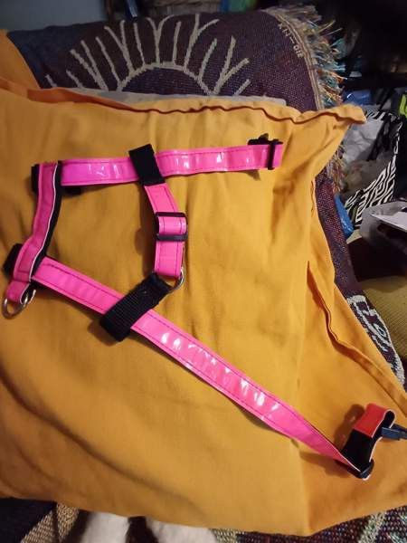 Kissan valjaat Tuusula – foto 4