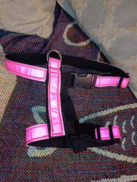 Kissan valjaat Tuusula – foto 1