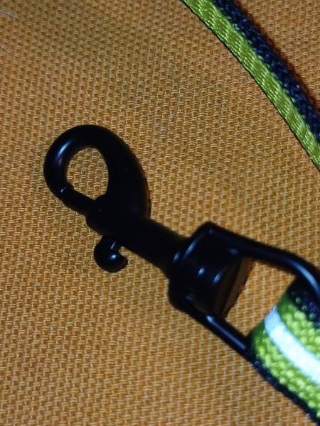 Kissan talutushihna Tuusula – foto 2