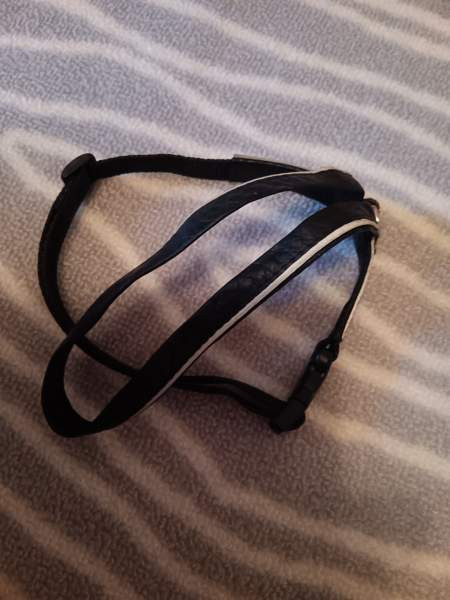 Kissan tarvikkeita Йоэнсуу - изображение 6