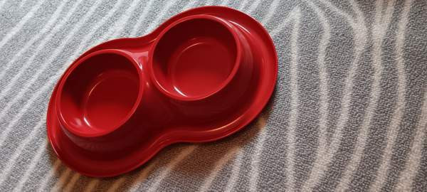 Kissan tarvikkeita Йоэнсуу - изображение 4